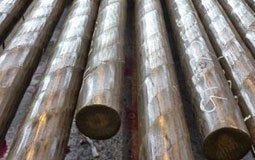 Hot Rolled Forge Din Bearing Steel Round Bar 52100
