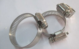 Stainless Steel Hose Clamp